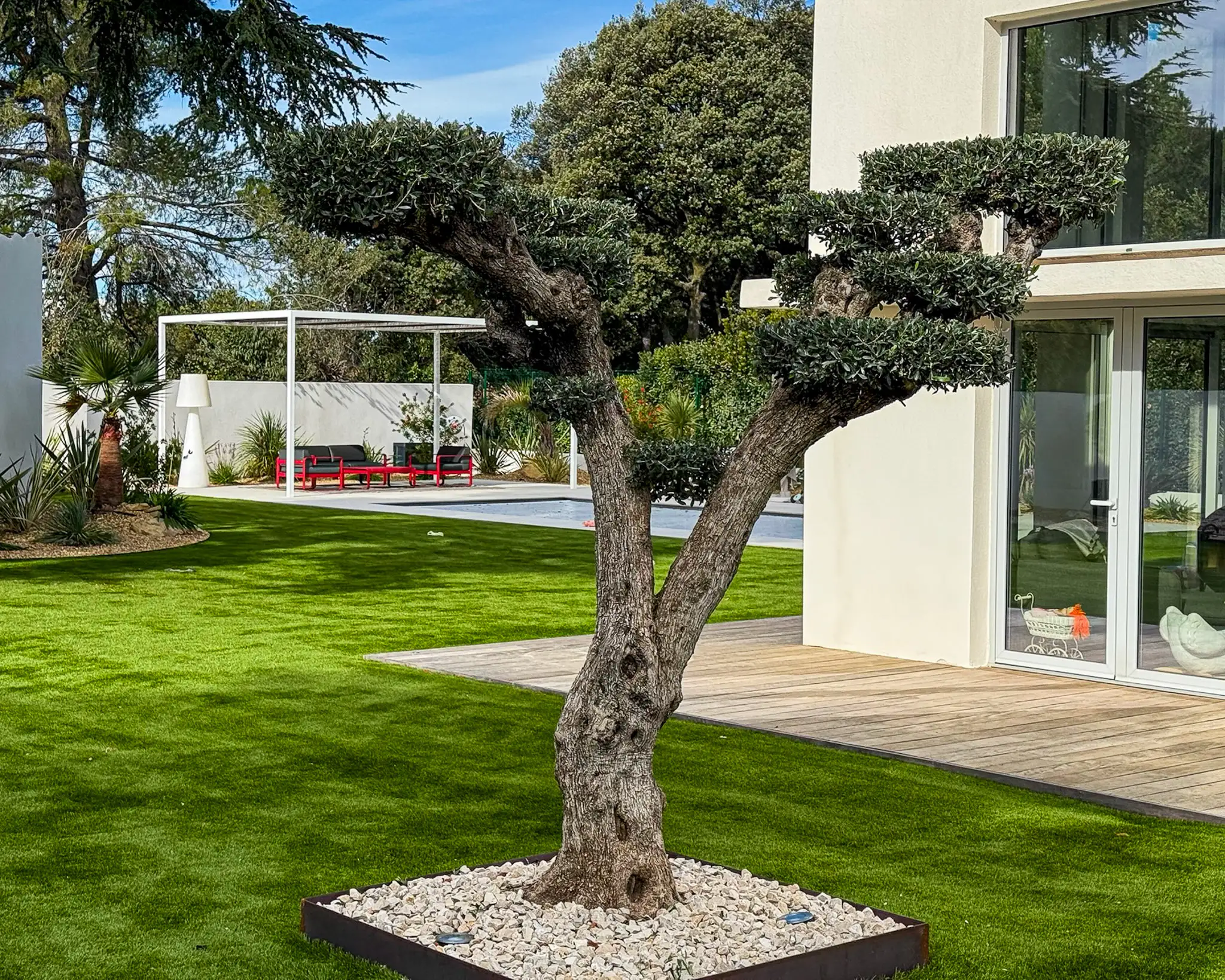 Jardin moderne aménagé à Aix-en-Provence avec olivier centenaire taillé en nuage, gazon synthétique impeccable et pergola design avec salon de jardin.