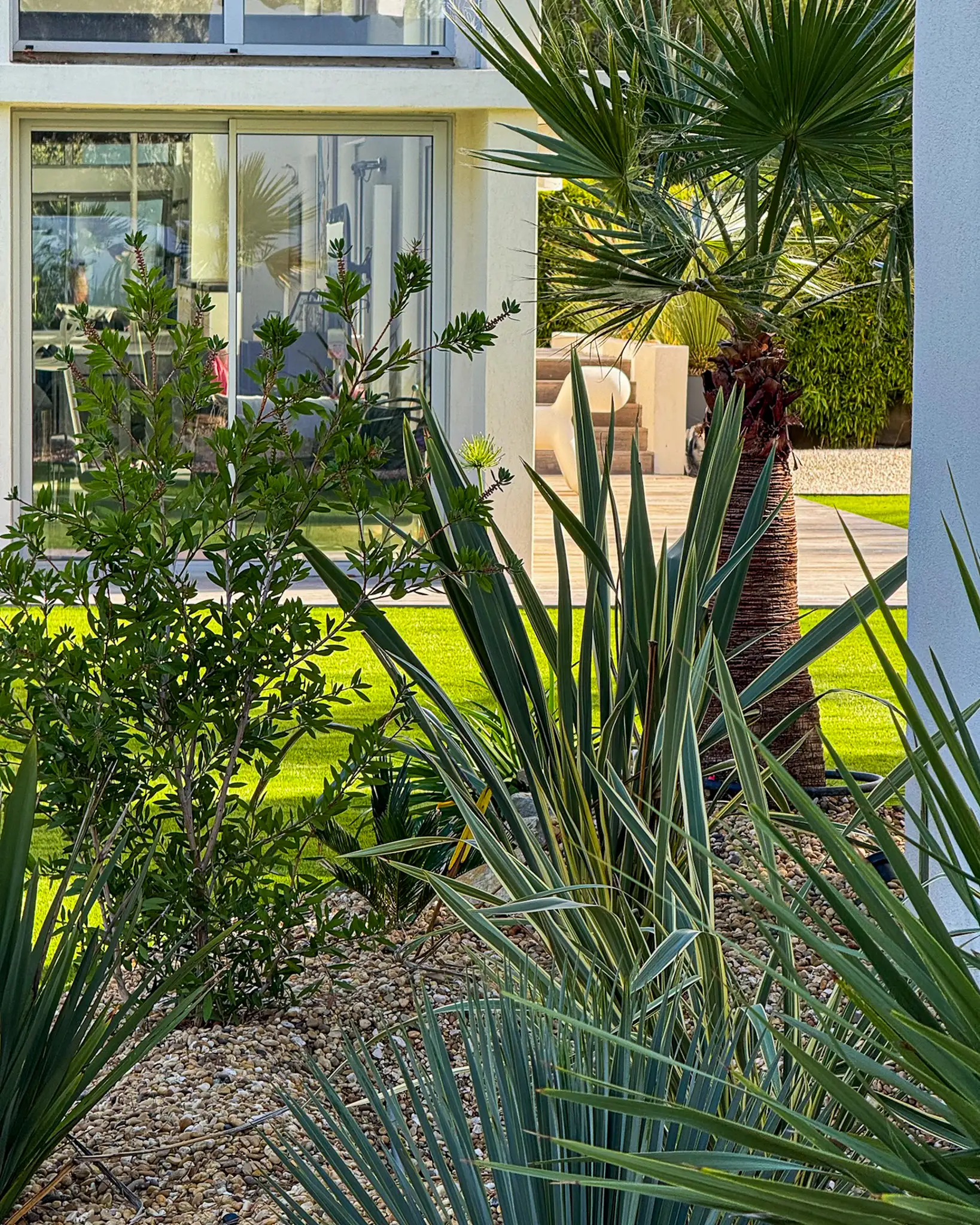 Gros plan sur un massif de plantes méditerranéennes (palmier, Yucca, etc.) et gravier, avec vue sur un jardin parfaitement entretenu (gazon) à Bouc-Bel-Air.