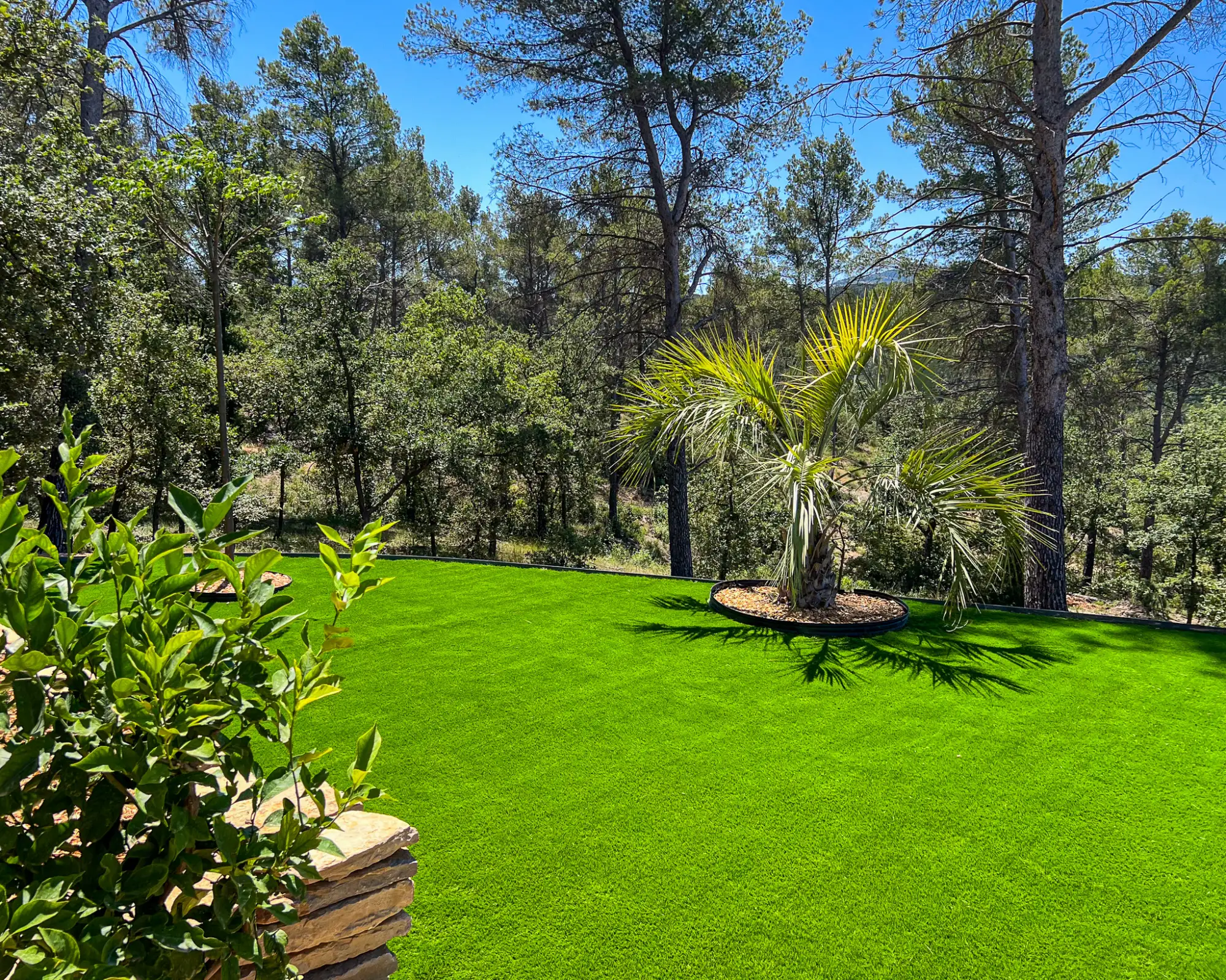 Jardin aménagé avec gazon synthétique de haute qualité, encadré par des arbres et intégrant un palmier, réalisé à Fuveau dans le Pays d'Aix.
